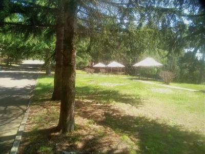 Гостевой дом у Кедра - 44