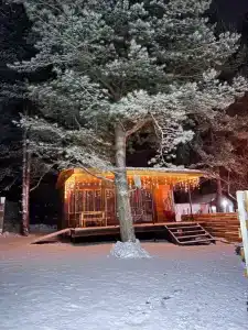 Уютный домик в лесу - 36