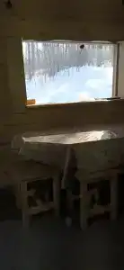 Домик в лесу - 50