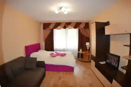 Уютная однушка в центре на Садовой. - 1