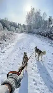 Оленья ферма Бэмби Лэнд - 8