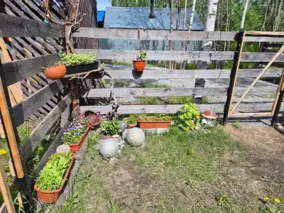 Домик на Можайской - 19