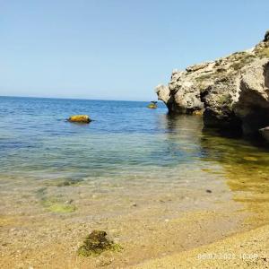 Ракушка Казантипа - 53