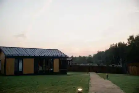 Хвоя - 38