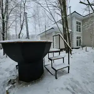 В гостях у леса - 0