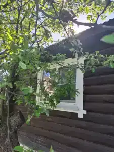 12 месяцев - 42