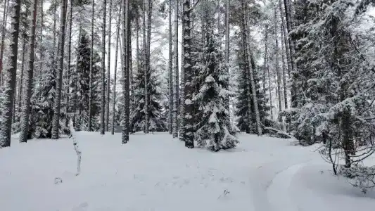 Дом у озера с отоплением - 39