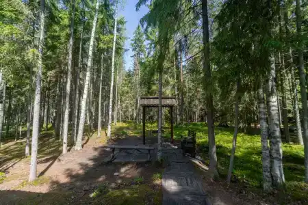 Шишки на Лампушке - 235