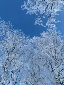 Частный дом в Судниково - 5