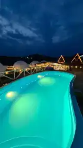 Аквариум - 88