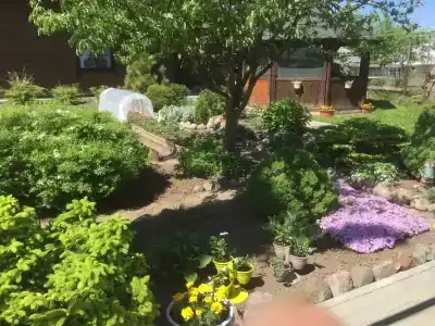 Домик с сауной 2 - 2