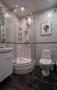 Стрелецкий переулок в центе - 15