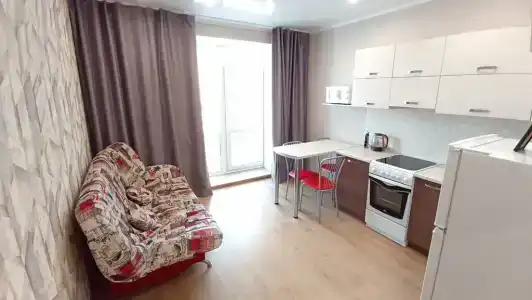 Люкс Серый Антона Петрова 221д - 0