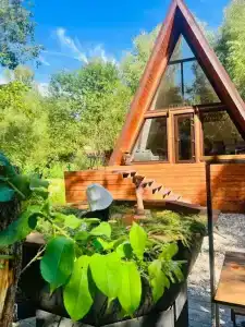 Медвежий угол - 3