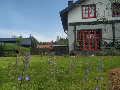 Мышкин дом - 3