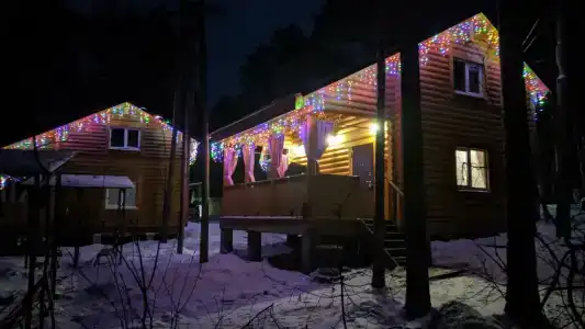 Сосновые дома - 4