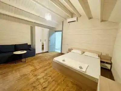 Forest house - 11