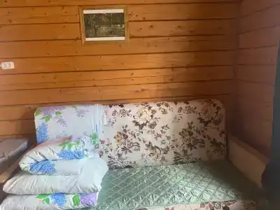 зелёный свет - 53