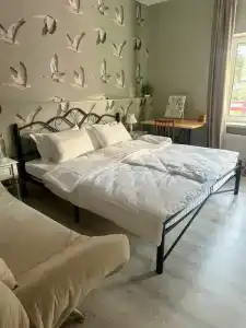 Шартруз Красное - сад, веранда и баня - 10