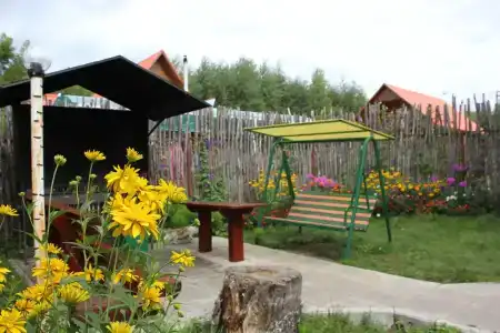 Подсолнух - 79