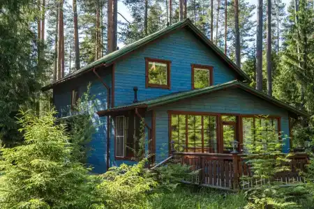 Шишки на Лампушке - 150