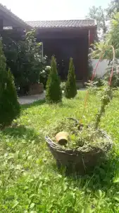 ФилХаус - 12