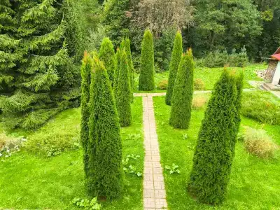 Агроусадьба на уединенном хуторе - 33