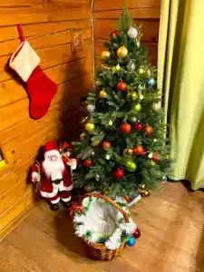 Дом для отпуска - 8