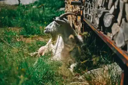 Моя дача - 34