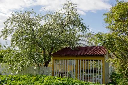 Домик в Лаврово - 16