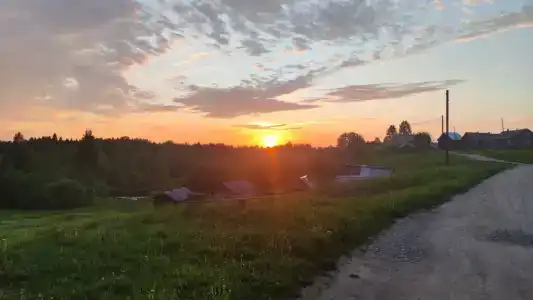 Настоящий деревенский домик в Сельге - 29