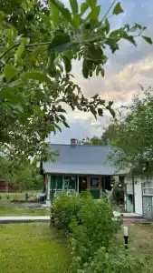 Лесная Тишина в Беловежской пуще - 9