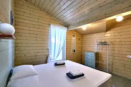 Ботаники - 188
