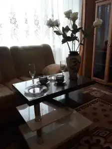 Пентхаус в центре города - 1