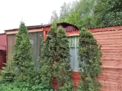 Зимняя дача - 11