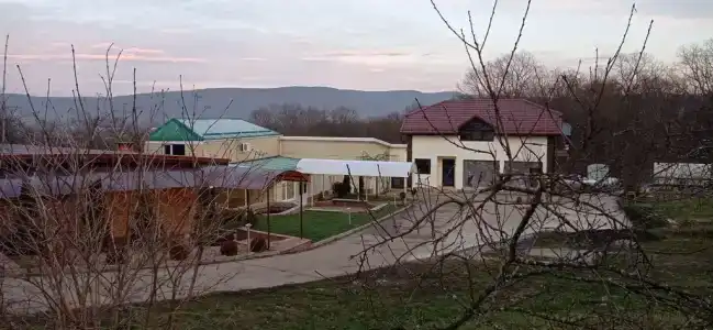 Медовый месяц - 1
