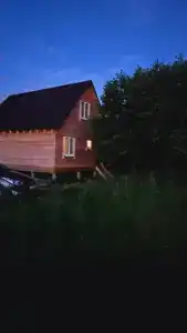 Олин лес - 18