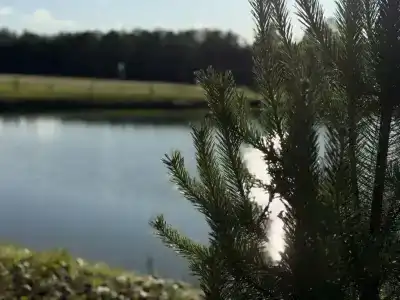 Кромбас - 222