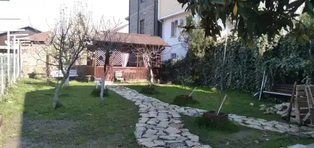 Елена - 4