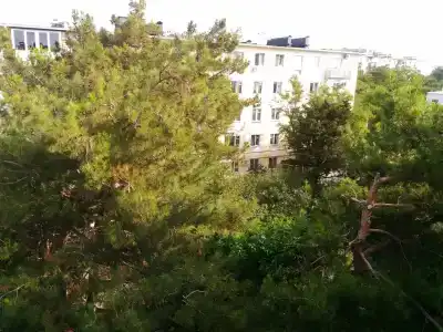 Квартиры на Грибоедова 50 - 208