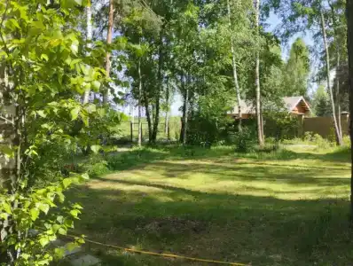 Дом в сосновом бору с гортензиями - 36