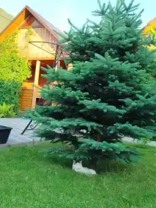 Счастливый случай - 52