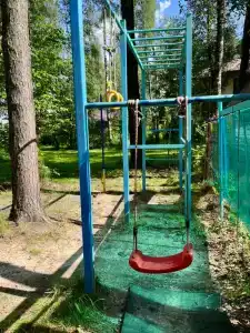 Дом в сосновом бору с гортензиями - 70