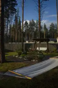 Шале в сосновом бору - 12