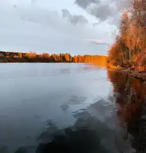 Нурми - 12