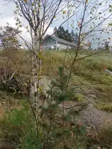 Мункинмяки - 89