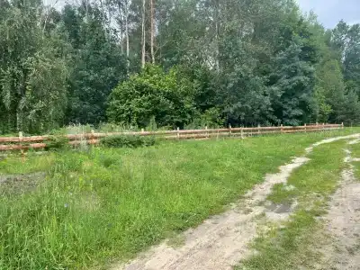 Коттедж у леса с баней - 6