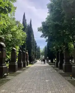 Квартиры на Цветочной 17/7 - 73