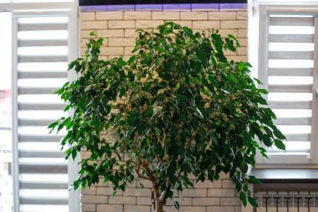 Квартиры на Советской 13 - 54