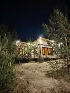 Сосны - 3